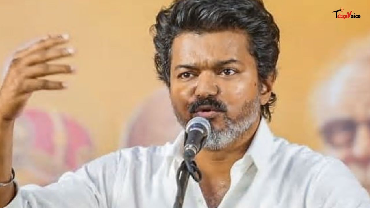 TVK Announces Tamil Nadu Candidates; Vijay to Contest from Two Seats TVK Announces Tamil Nadu Candidates; Vijay to Contest from Two Seats teluguvoice